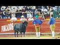 ✅2018 VALENCIA 19 ◾ II Encuentro de Tauromaquias FORCADOS