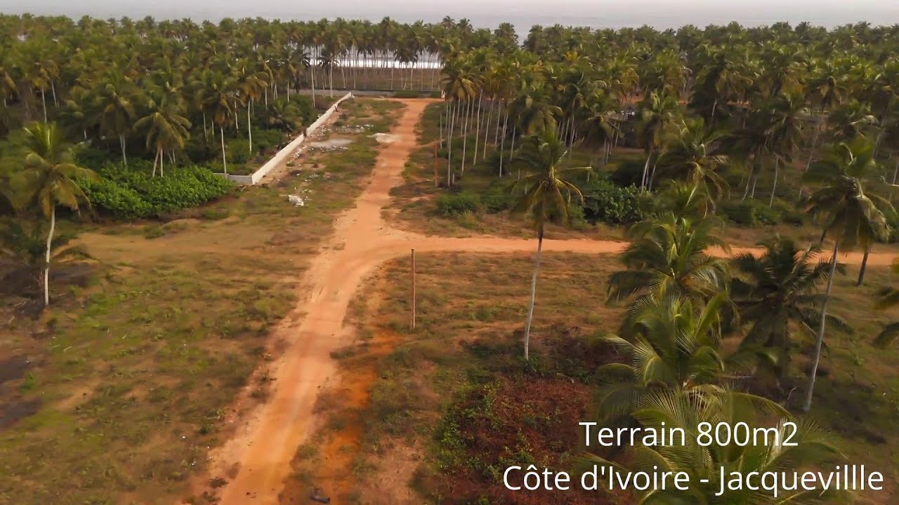 Jacqueville, la perle proche d’Abidjan où tout est ENCORE possible ! 🇨🇮