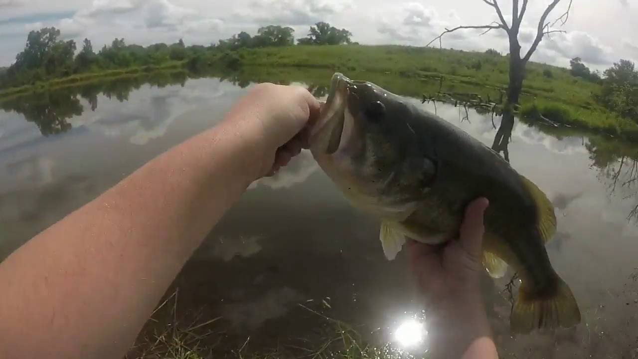 13 fishing Concept C and a 4lb largemouth - YouTube