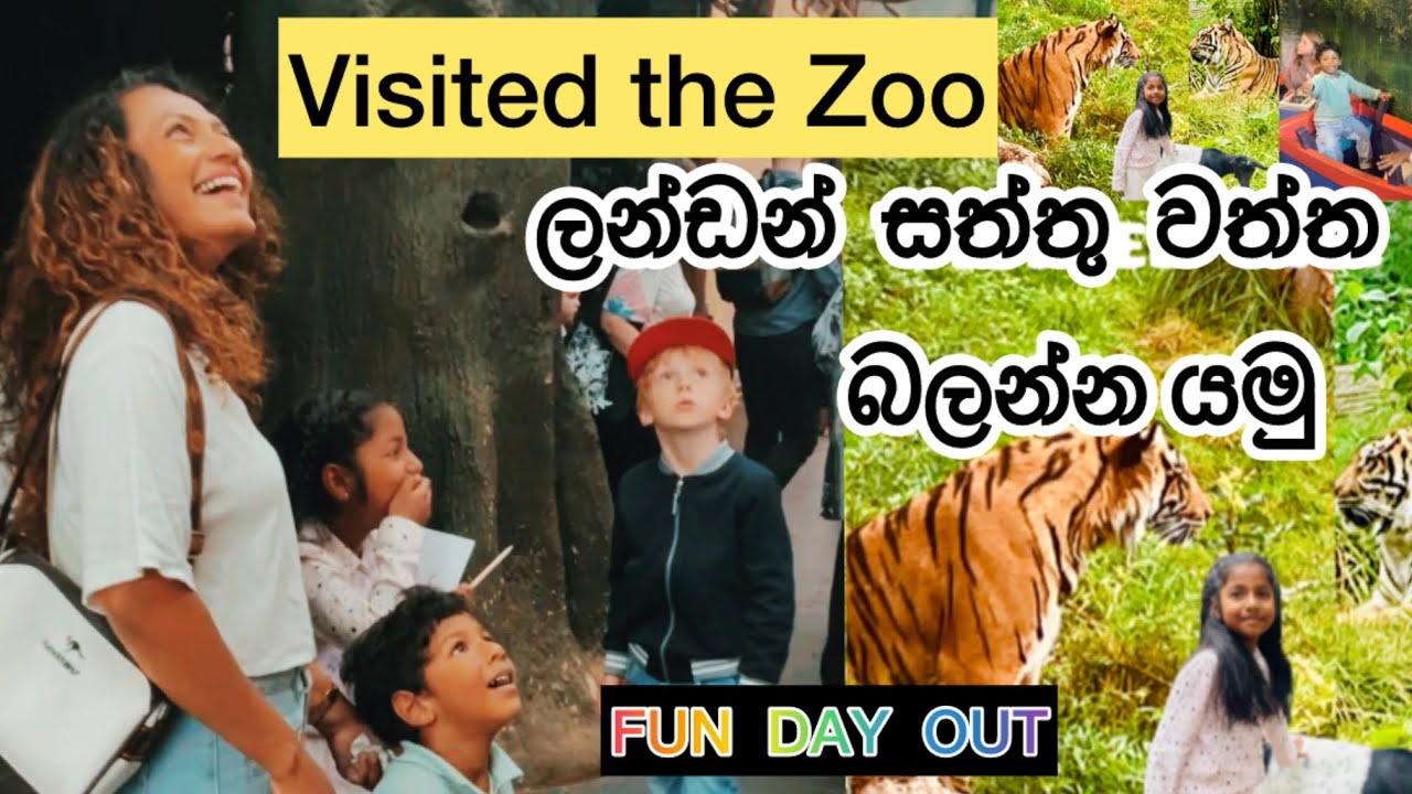 Fun Day Out with KIDS |  ලන්ඩන් සත්තු වත්ත | London Zoo vist with Kids Summer  Holiday Uk Srilankans