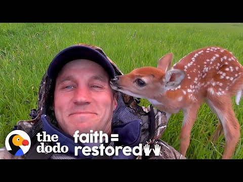 Video: Pet Scoop: jauns ierēdnis glābj Fawn no upes, Atlanta Panda Cam tur darbojas