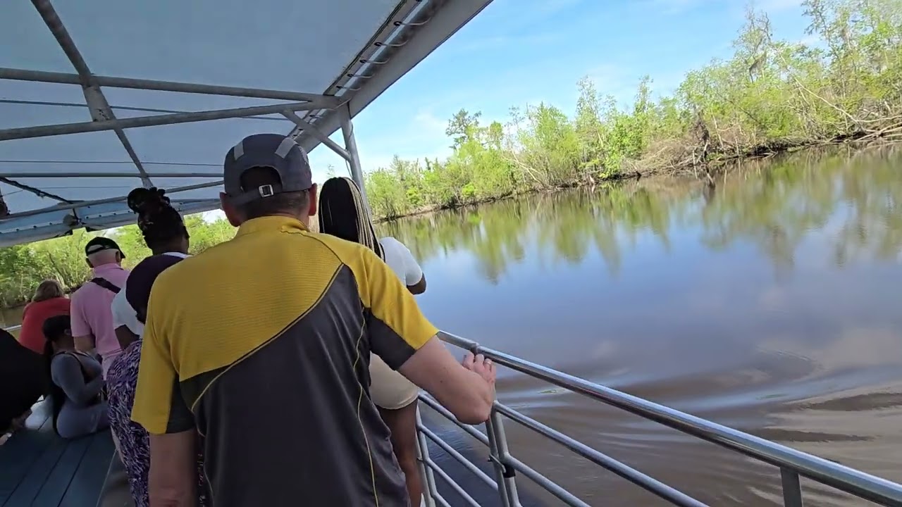 Chasing Gators by Airboat | Wild Swamp Tour Outside New Orleans