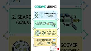 The Digital Treasure Hunt for New Medicines! 💻💊 ##GenomeMining #Bioinformatics #DrugDiscovery #bioit
