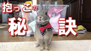 これからウサギを飼う方は見て抱っこの秘訣教えます#83