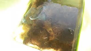 Ruang Riset Dan Inovasi Tgl 6.8.2022