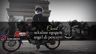 #bacot