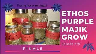 Ethos Purple Majik Finale