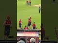 🔥🔥IPL final 2026 🔥King Kohli RCB 🔥🔥 cricket lover #ipl #rcbians #cricket #ipl final