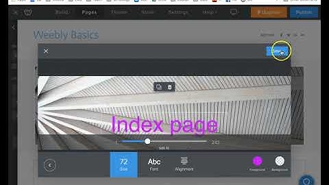 Next Steps Weebly: title, sub-domain, editing banner picture, creating index