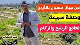 وصفة سريعة لعلاج الرشح والزكام - من جبال حسبان بالأردن- خبير الأعشاب جليل عبدالسلام