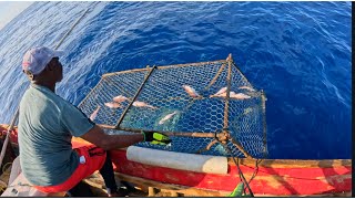 DEEP WATER FISH POT HARVESTING