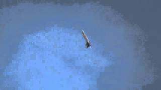 florida jets 2016 thursday F-14 demo