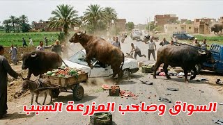 فقدوا السيطره علي العجل ثاني ايام العيد 🦬 وخبط في العربيات اللي في الطريق 😱😱