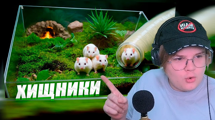 ДЕТЕНЫШИ СТЕПЫ ПОПАЛИ В ПОДЗЕМНЫЙ ХОМЯКАРИУМ - КАША СМОТРИТ