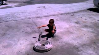 Anthony single donuts roll