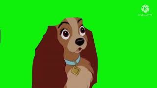 Lady Blink Green Screen