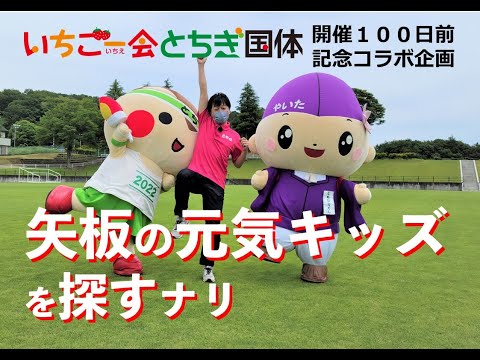 【放送予告！】とちぎテレビ　イブ6プラス「やいた大好き」（2022年6月23日放送） #shorts