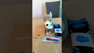 Salesforce Swags From Quests