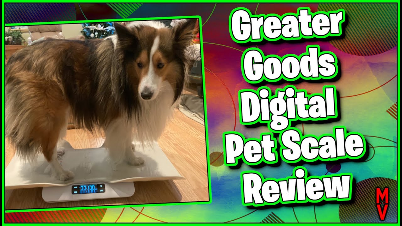 Best Scale for Smaller Animals? Great Goods Digital Pet Scale Review  MumblesVideos 