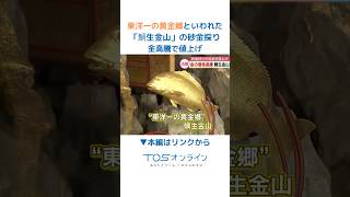 【砂金】鯛生金山 自然金 金粒 44粒 △Click the link to see the full story. Gold panning facilities in
