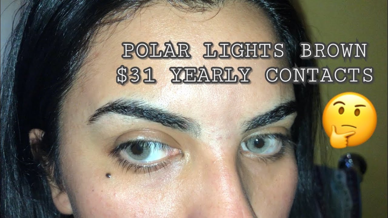 TTD EYE - Polar Lights Brown ♡