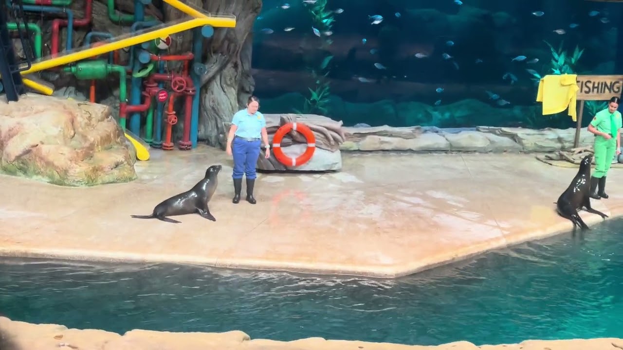 Sea world Abu Dhabi❤️