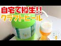 ビールの縁側 Any Haze / Revo Brewingを飲む【クラフトビール】