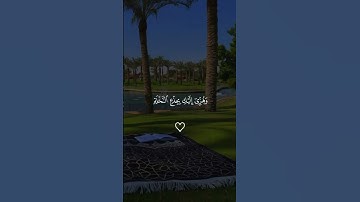 #قران_كريم #تلاوة_خاشعة #ارح_قلبك #الشيخ #فارس_عباد تلاوه نادره