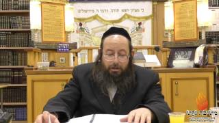 הרב אברהם יצחק כרמל-תורה ו'-שיעור 5