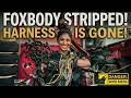 Foxbody Mustang Gets STRIPPED | Engine harness is gone