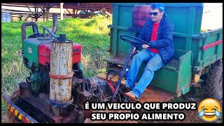 5 Motivos Para Ter Um Girico