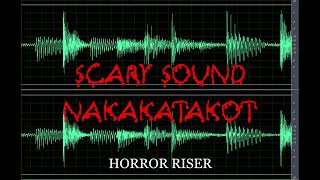 Scary Sound | Horror Riser | Nakakatakot