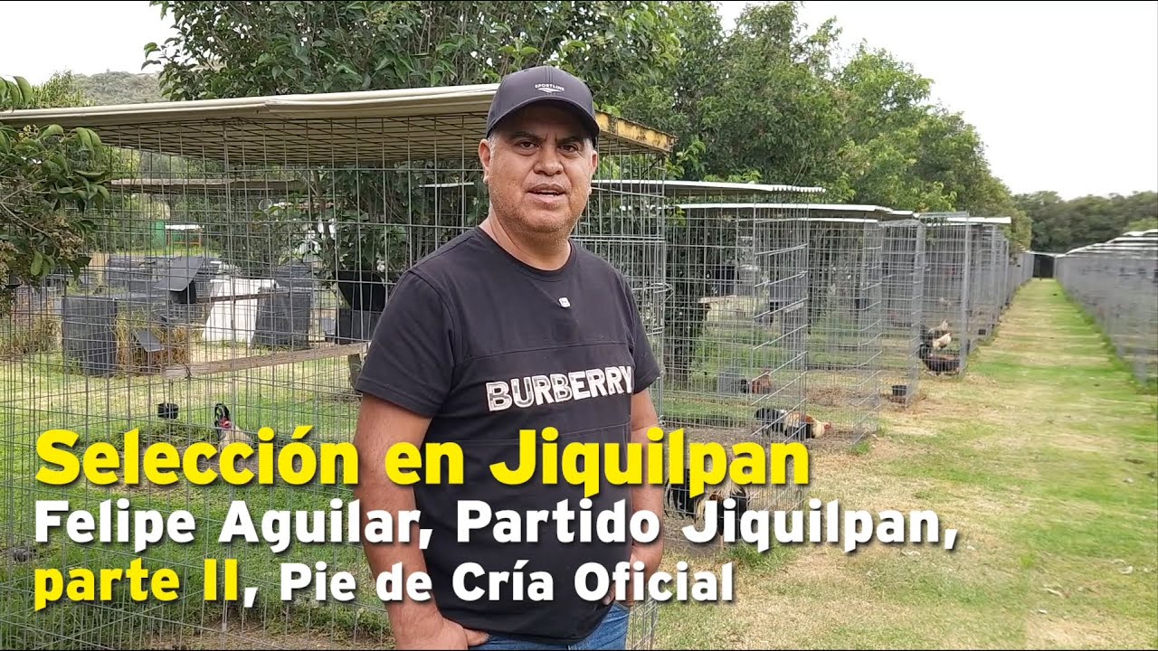 Selección en Jiquilpan, Felipe Aguilar, parte II, Pie de Cría oficial