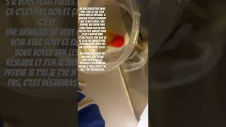 Testais Pas, Cest Une Arnaque