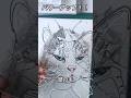 【重ねてパワーアップ!?】目とヒゲが特徴の猫ワイヤーアート2作品セットキャンバスバージョン❗️wire cat art!