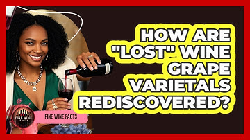 How Are "lost" Wine Grape Varietals Rediscovered? - Fine Wine Facts