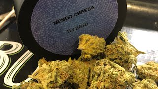 Mendo Cheese Strain Review~ PA Medical