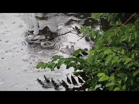 Nature Views[Win Anyway Walk The Moon