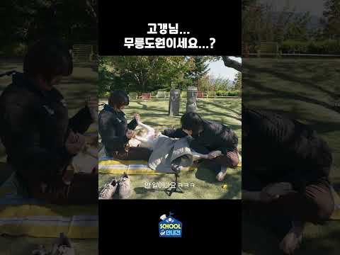 마사지 받다 꿀잠자는 리트리버 실존