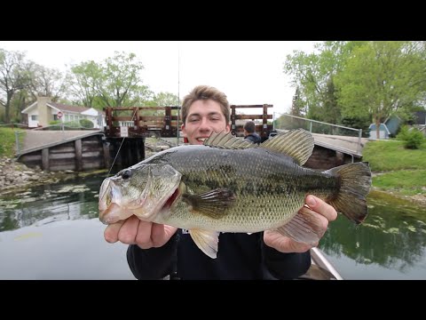 Spring Topwater Frog Fishing  — Ft. Apbassin (…again)
