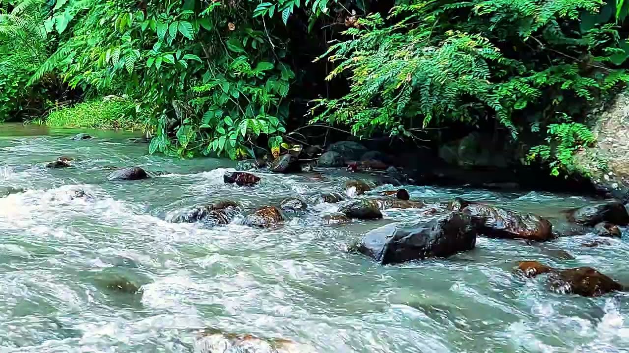 Powerful River Ambience | Melt Stress Away in Minutes