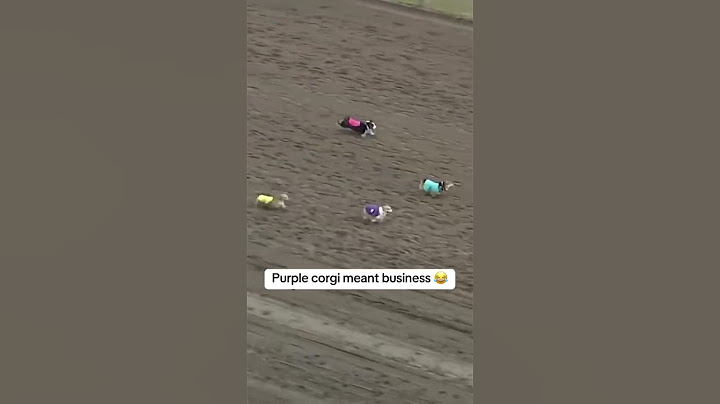 When Brad wanted all the smoke 😤 (via Canterbury Park Shakopee, MN)