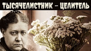 видео: Тысячелистник — целитель, что всегда рядом - ЕЛЕНА БЛАВАТСКАЯ картинка: Тысячелистник — целитель, что всегда рядом - ЕЛЕНА БЛАВАТСКАЯ