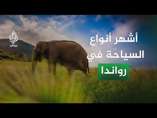 دليلك السياحي إلى رواندا