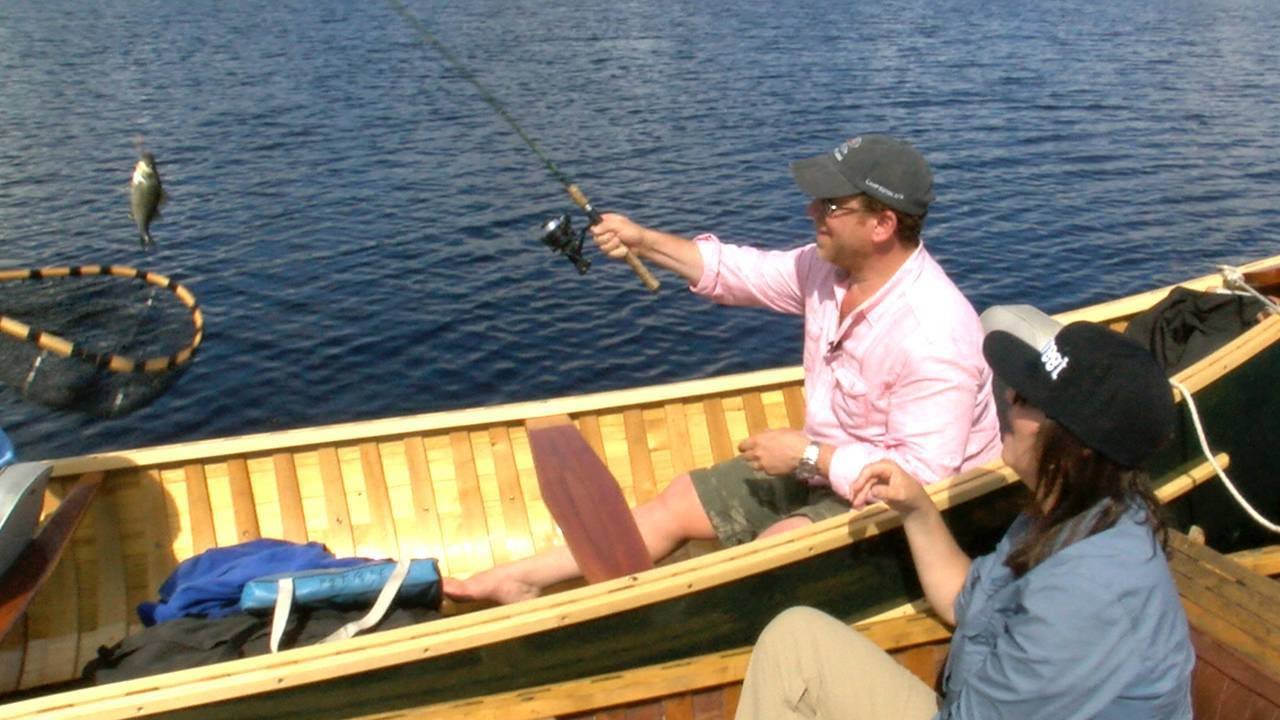 Here’s What You Need to Know about Fishing and Financial Crises