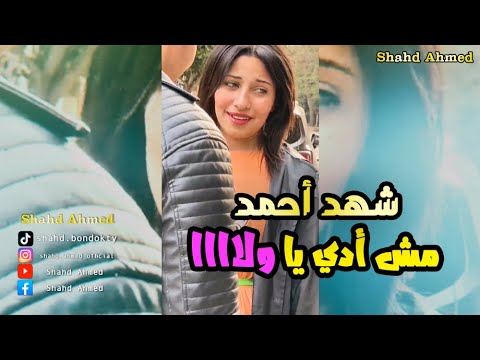 شهد أحمد مش أدي يا ولا