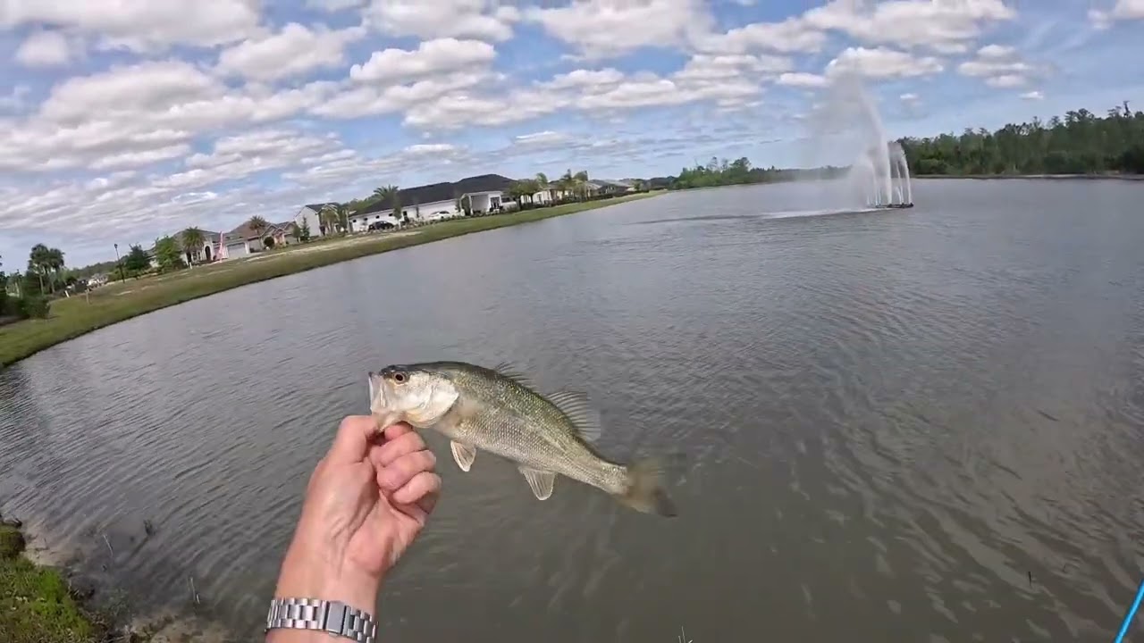 Daytona Beach Bass Fishing 04/09/24