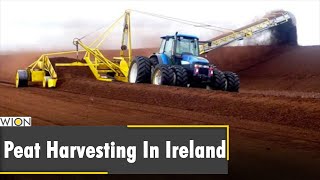 Why Are Bogs Important For Harvesting In Ireland? Latest World English News Wion News