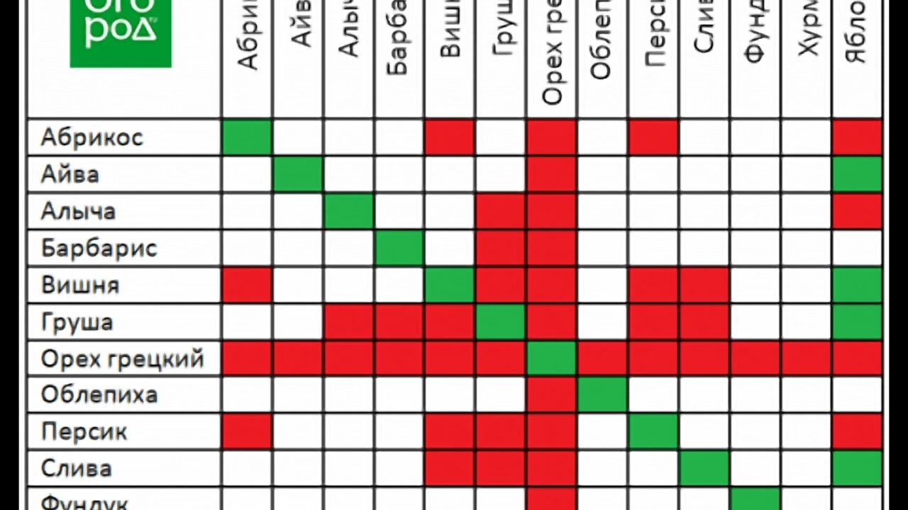 Як правильно посадити дерева в саду