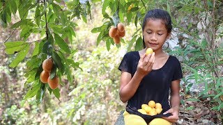 Find food meet sweet yellow mango for eat - Natural yellow mango eating delicious #14